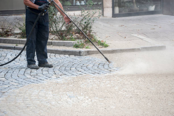 Best Sidewalk and Walkway Cleaning  in Bement, IL