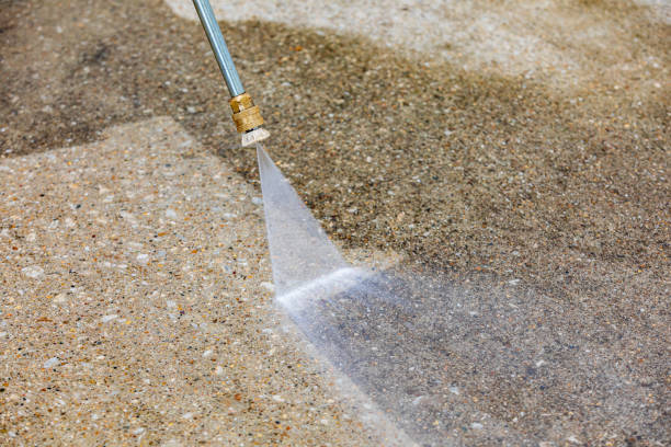 Best Pre-Holiday Cleaning  in Bement, IL
