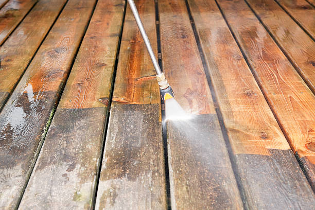 Best Animal Enclosure Cleaning  in Bement, IL